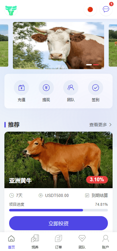 多语言养殖投资系统源码,养牛投资返利,养牛资金盘,前端VUE